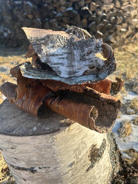 Bērza tāsis iekuriem